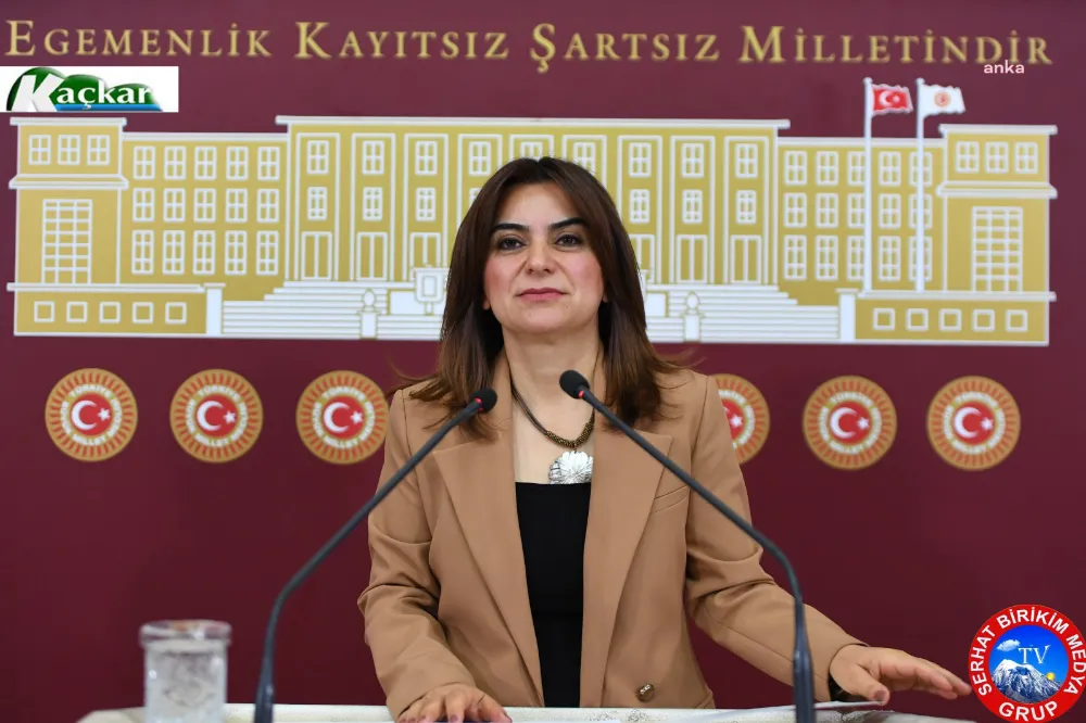 DEM Kars Milletvekili Koçyiğit