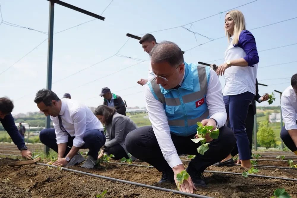 Beylikdüzü'de Yazlık Fideler Toprakla Buluştu