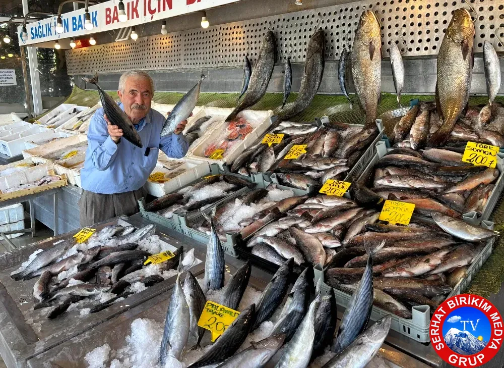 Karadeniz Somonu 200, Karadeniz Alası 150 Lira