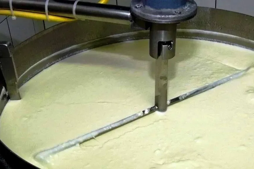 Süt ve süt ürünlerinde ne üretiyorlar?