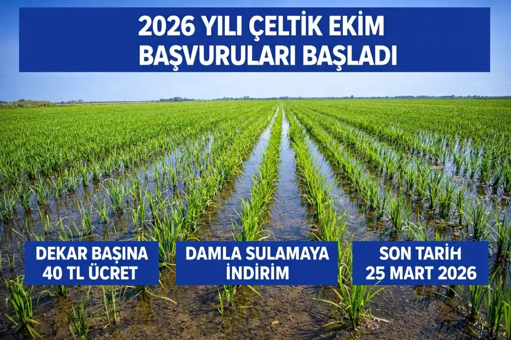 2026 Yılı Çeltik Ekim Başvuruları Başladı