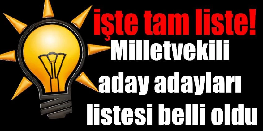 AK Parti milletvekili aday adayları listesi belli oldu; 